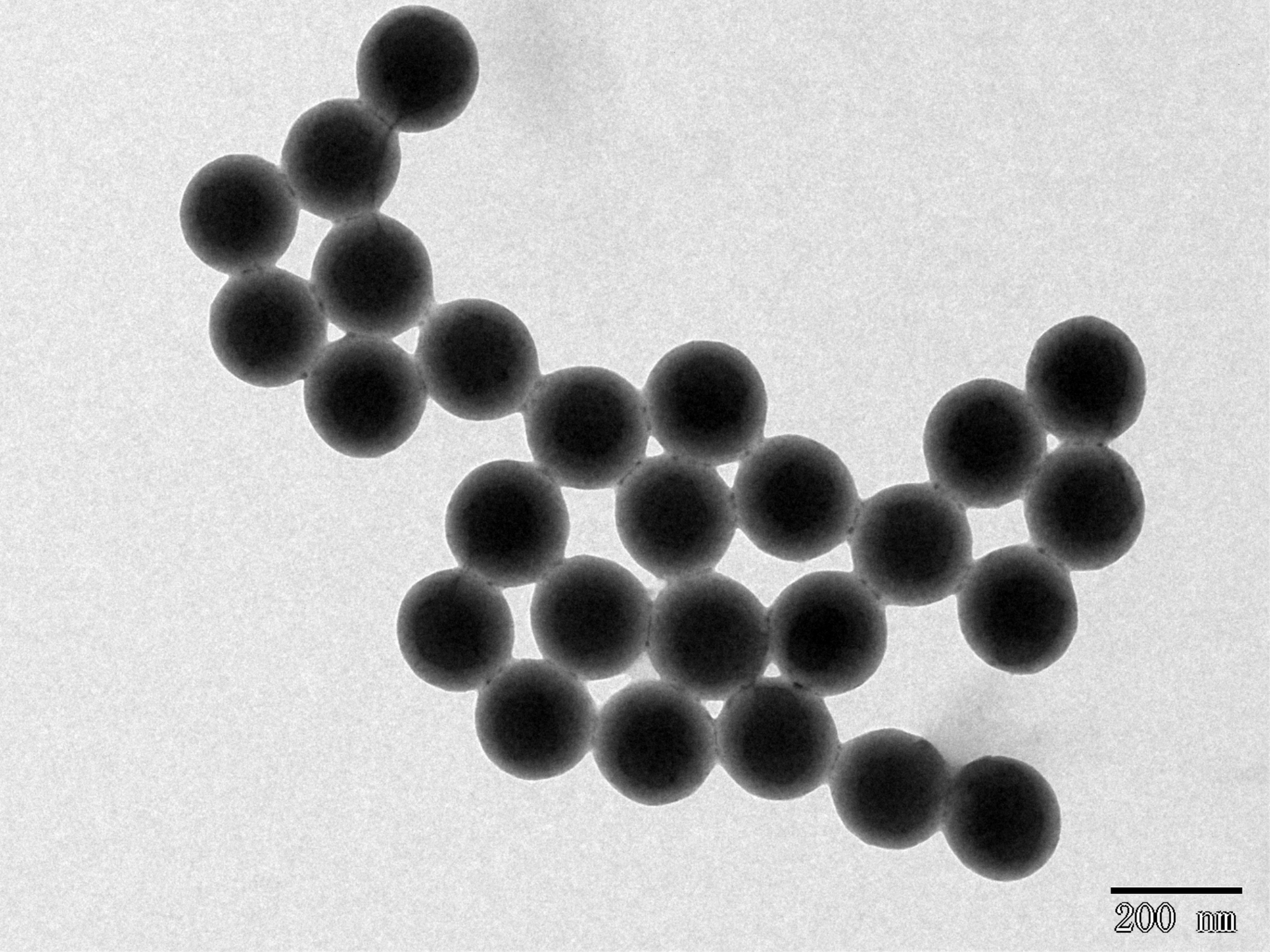 The Top Notch And Popular Polystyrene Nanoparticles