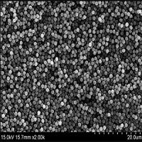 The Impressive Non-functionalized Or Carboxyl Polystyrene Microparticles