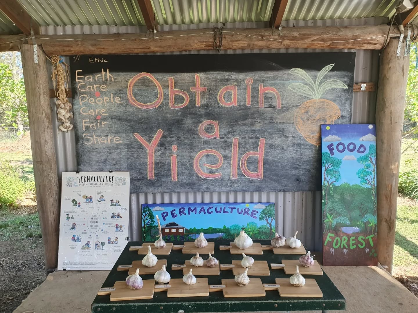 Garlic Growing Workshop - Maitland, NSW