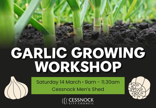 Garlic Tasting and Growing Combo - Cessnock, NSW