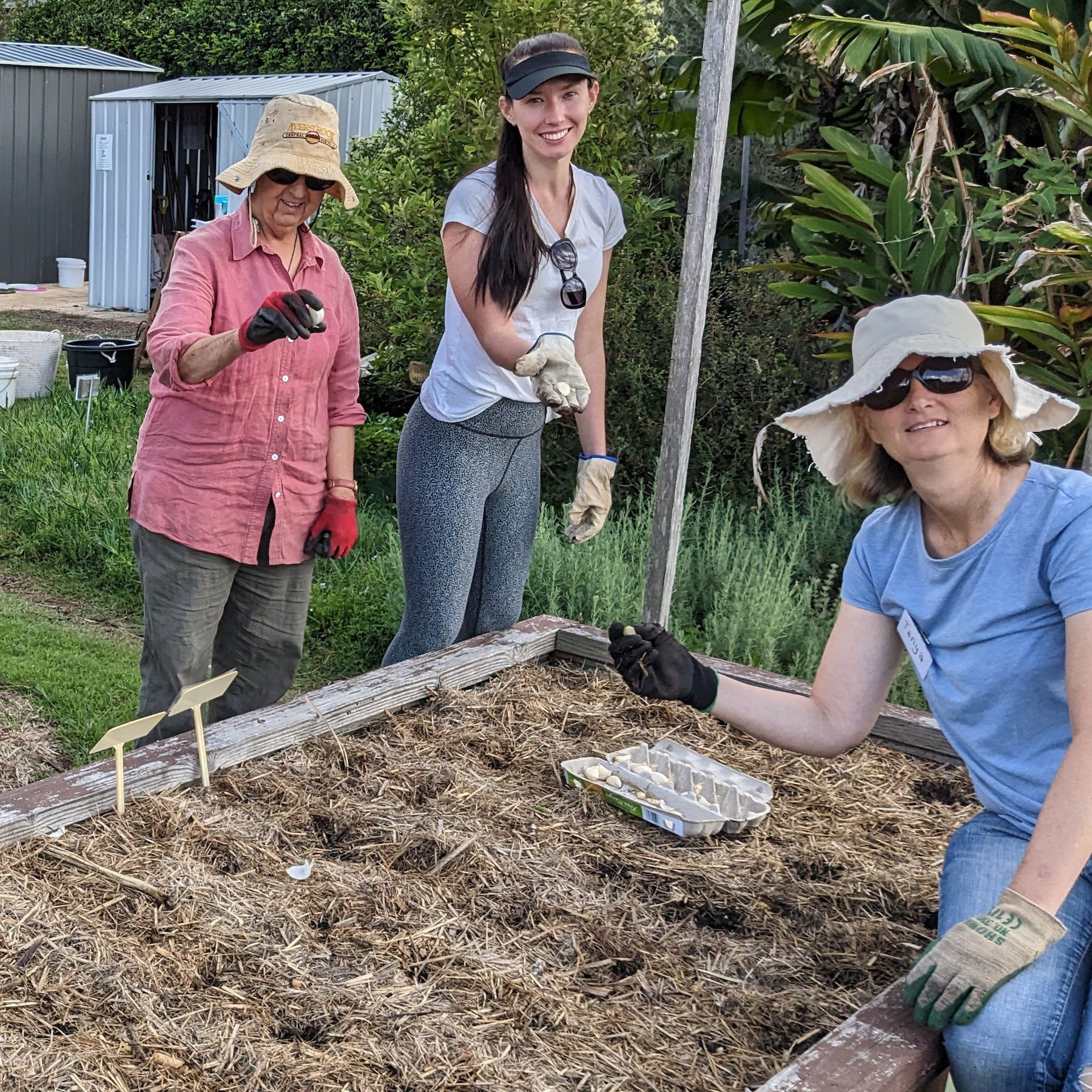 Garlic Growing Workshop - North Curl Curl, NSW