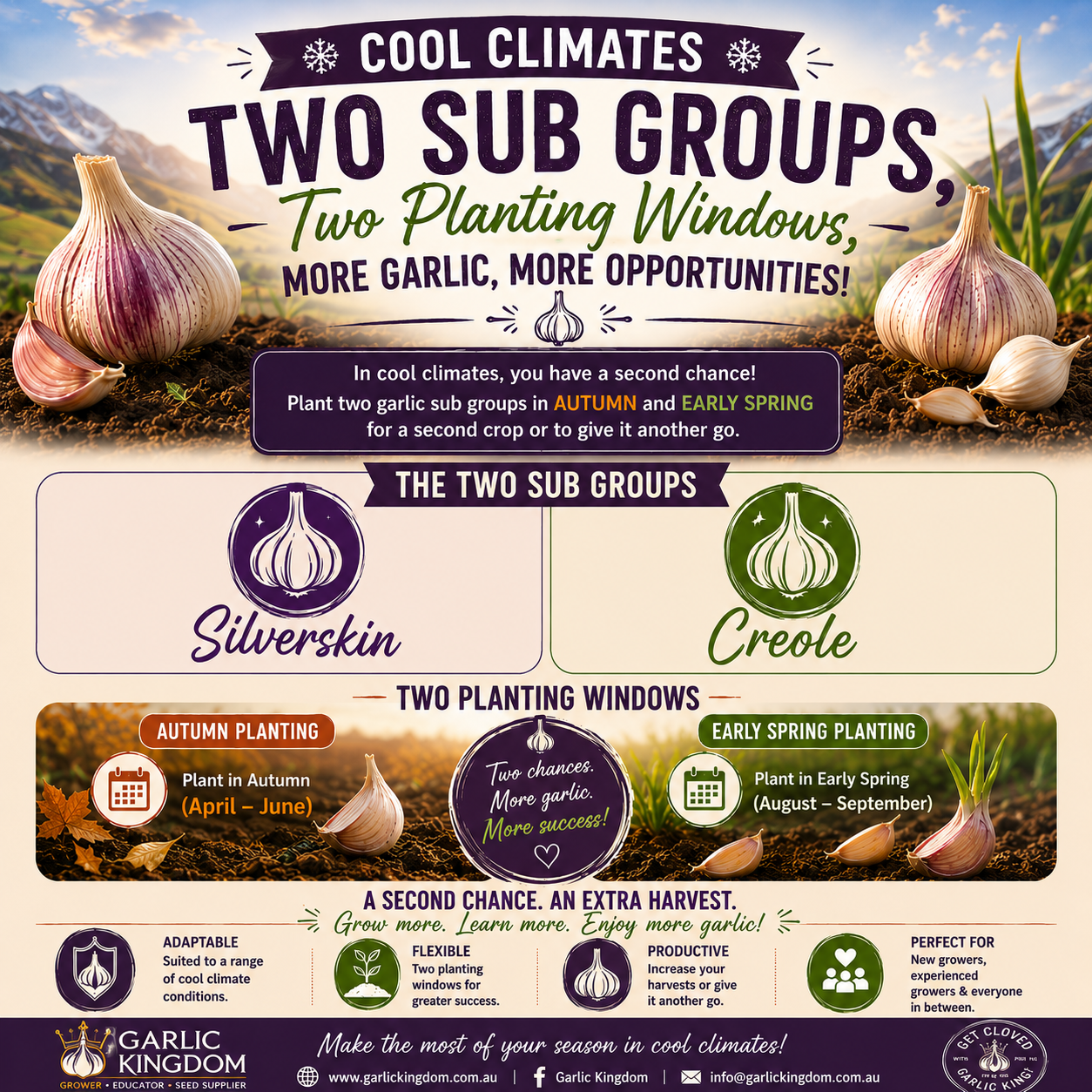 Garlic Planting in Spring - Cool Climates