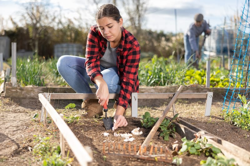 Garlic Growing Workshop