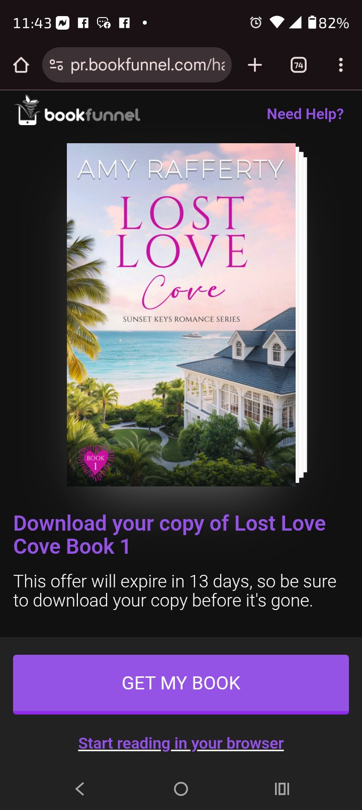 Lost Love Cove by Amy Rafferty