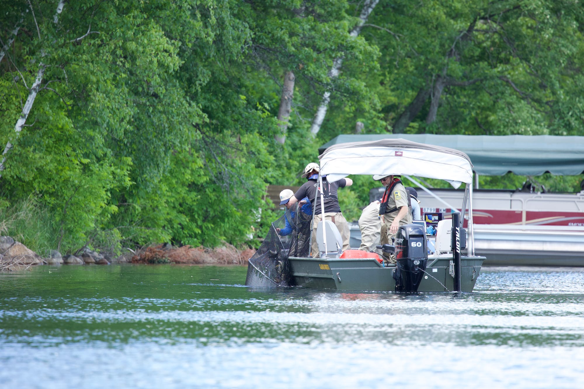DNR Fish Study