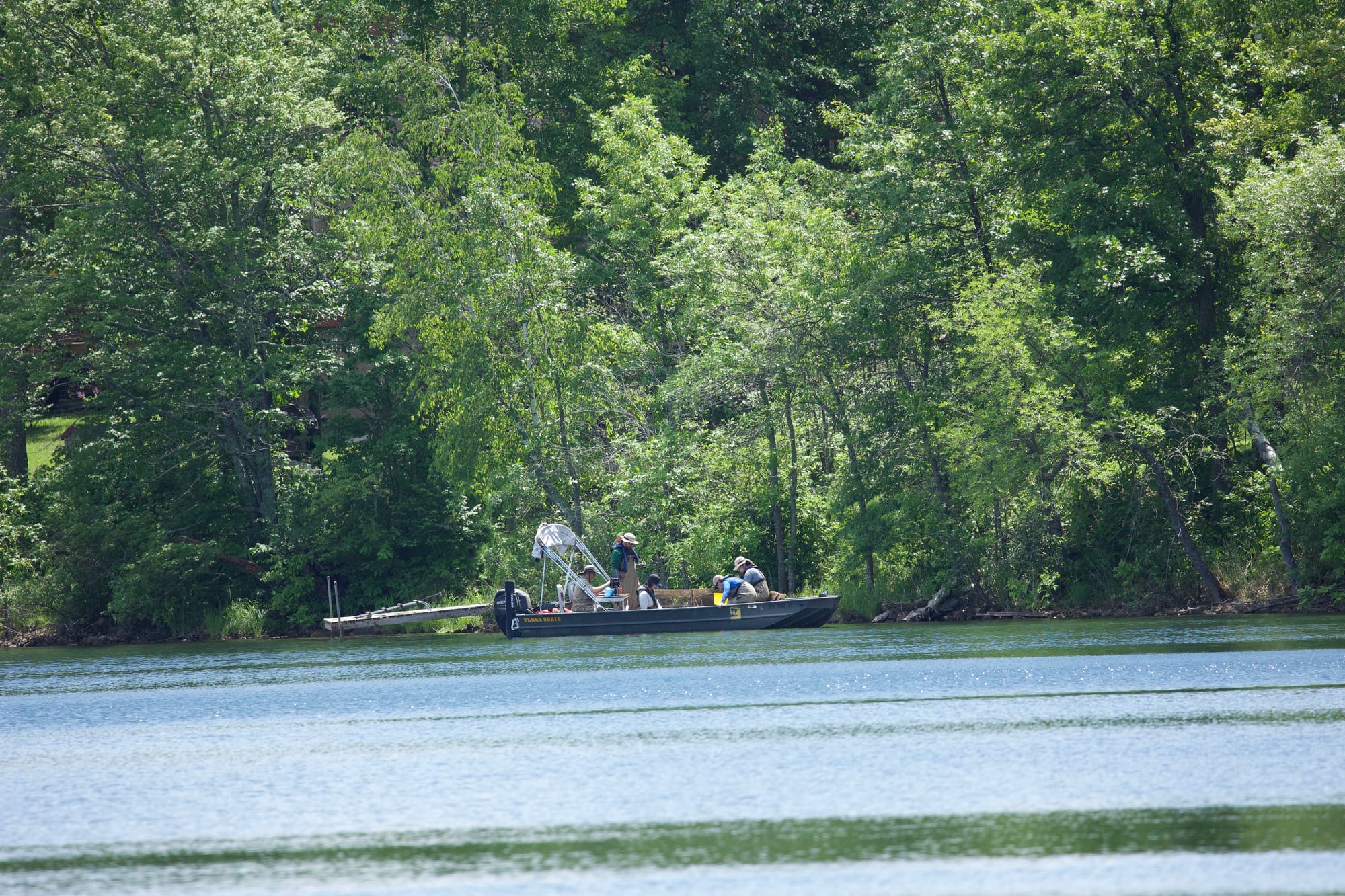 DNR Fish Study