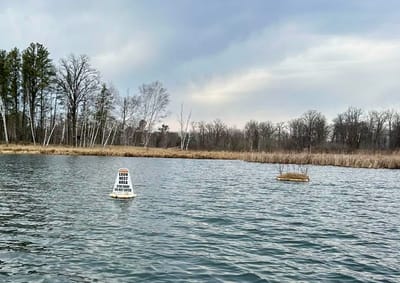Lake Facts image
