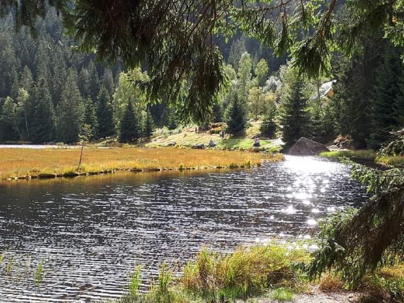 Ferienhaus Vermietung