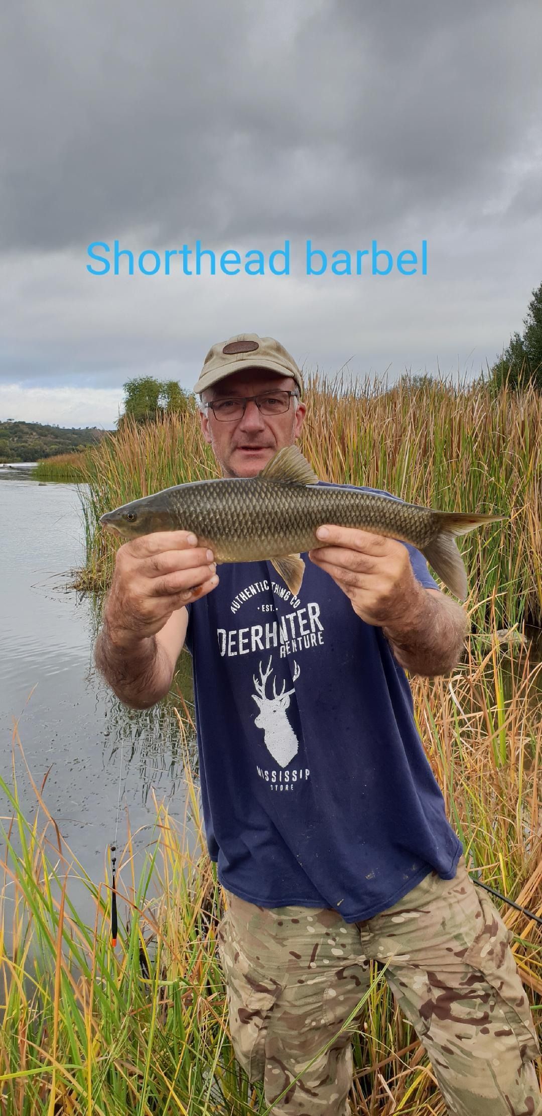 Short head barbel