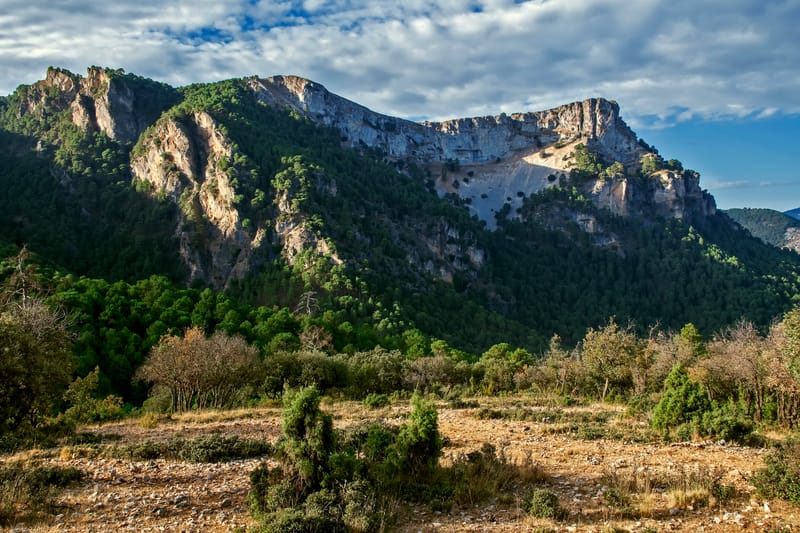 Guided Fishing Expeditions