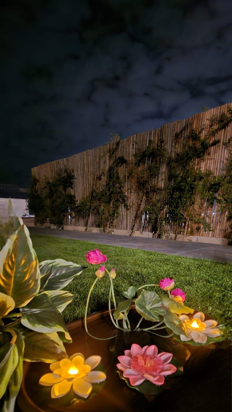 🌟 צימר "שירת הכוכבים" – חופשה רגועה בפסגות הרי יהודה 🌟