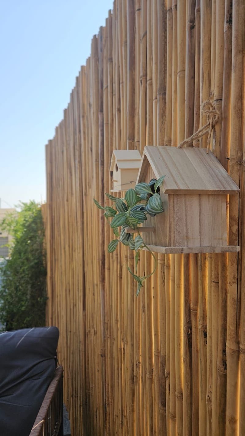 🌟 צימר "שירת הכוכבים" – חופשה רגועה בפסגות הרי יהודה 🌟