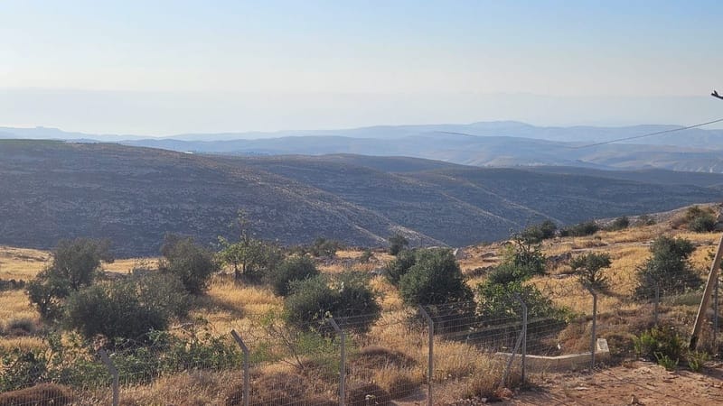 🌟 צימר "שירת הכוכבים" – חופשה רגועה בפסגות הרי יהודה 🌟