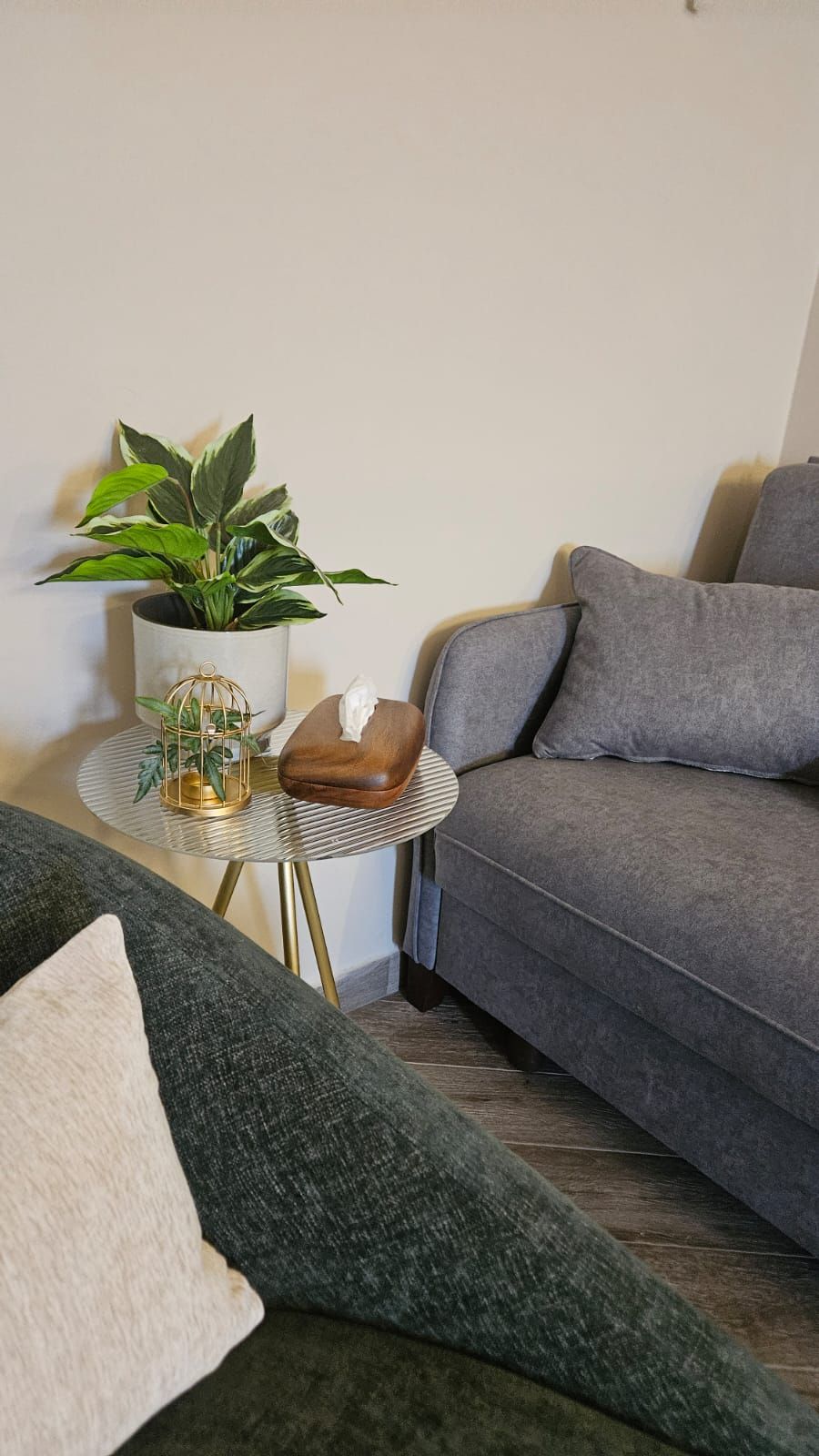 🌟 צימר "שירת הכוכבים" – חופשה רגועה בפסגות הרי יהודה 🌟