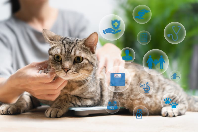 Consulenza Nutrizionale