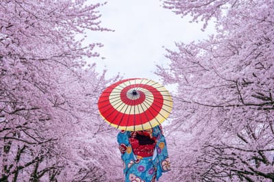 Haiku &amp; Improvisation image