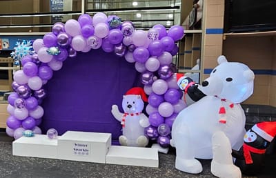 Winter Sparkle Competition image