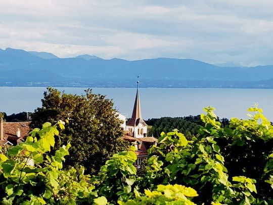 Le village viticole de Féchy (Vaud)