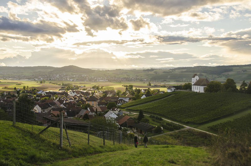 Les vignes de Rötiberg kellerei