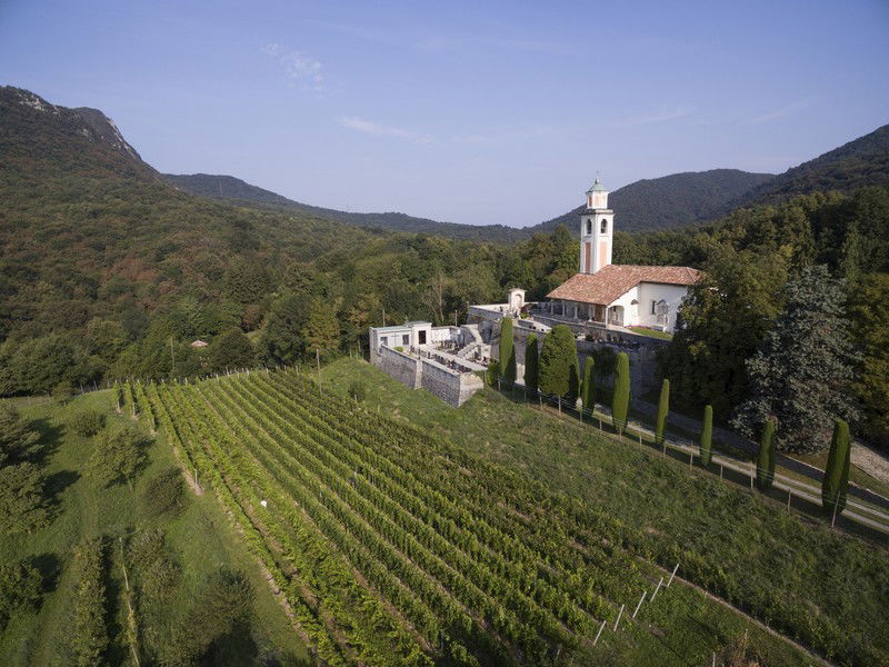 Les vigne de la cave Fawino