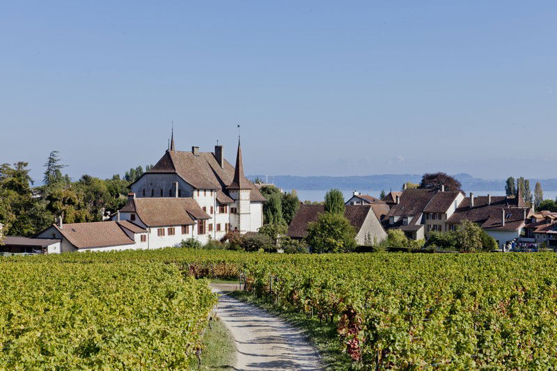 Le Château d'Auvernier