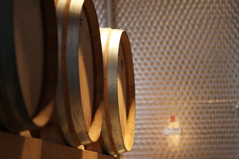 Barriques de vin chez Martin Wolfer