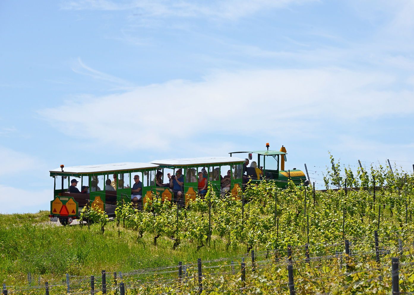 le train du lavaux express