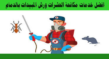 شركات رش حشرات الدمام