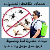 شركة مكافحة حشرات بالمدينة المنورة (للايجار) رش البق النمل الصراصير