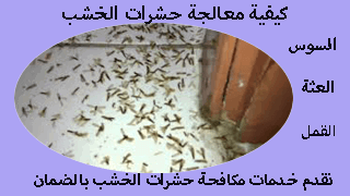 مكافحة حشرات الخشب والقضاء عليها