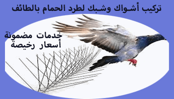 شركة مكافحة الحمام بالطائف