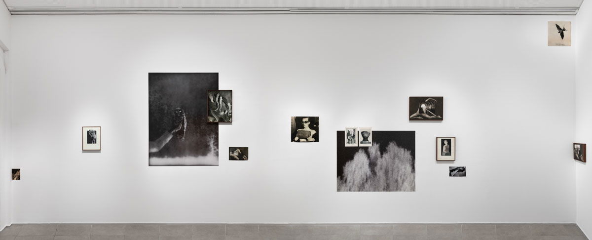 מוזיאון הנגב לאמנות