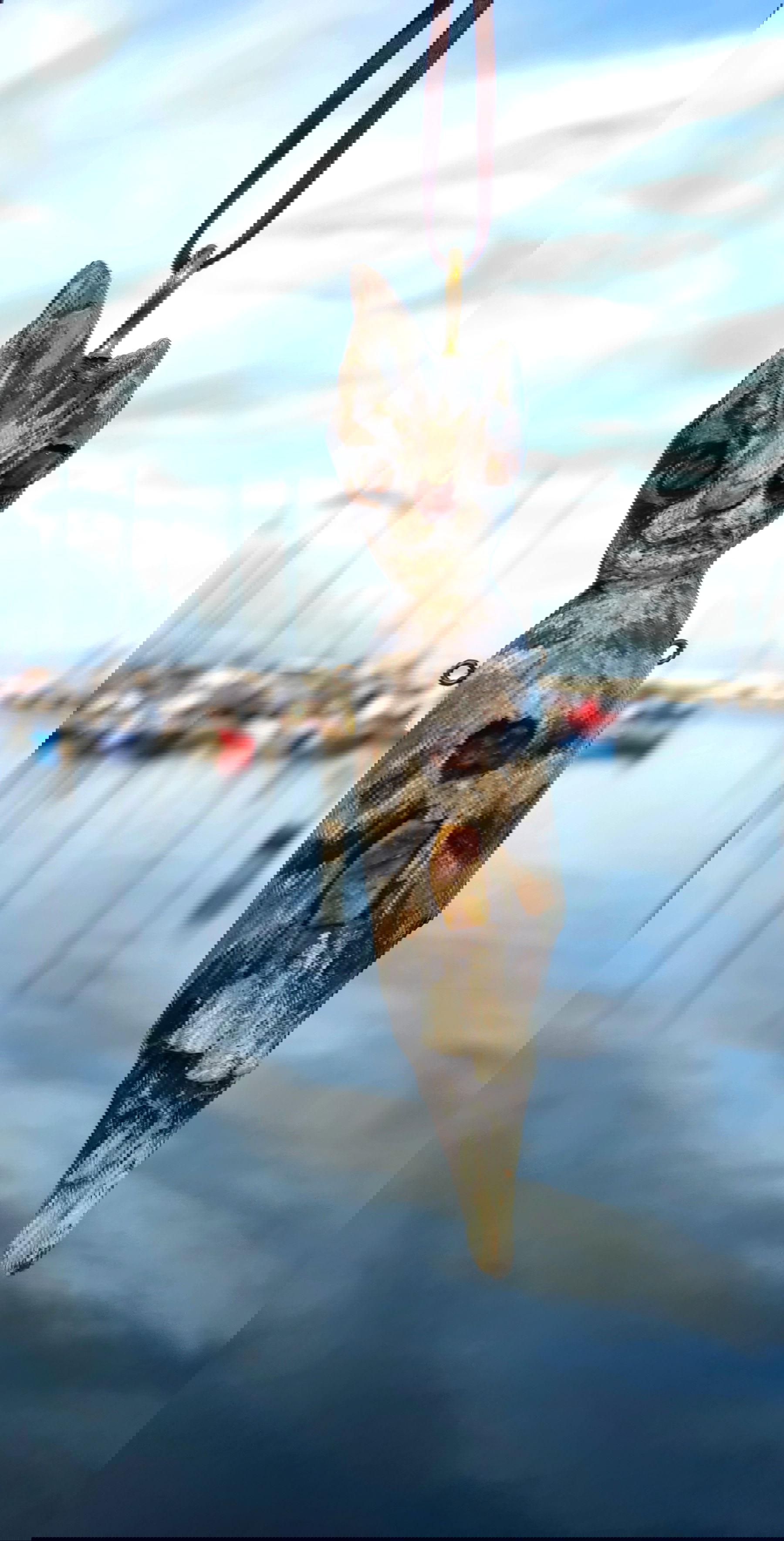 KOTE MAMELOT ZE STILO