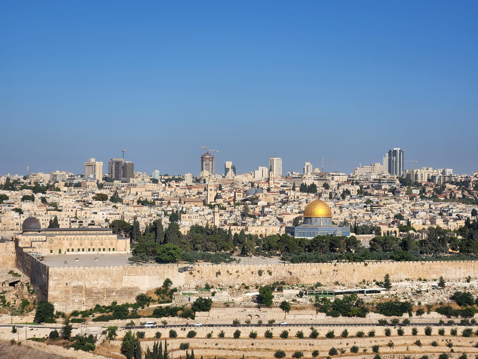 Last minute custom trip