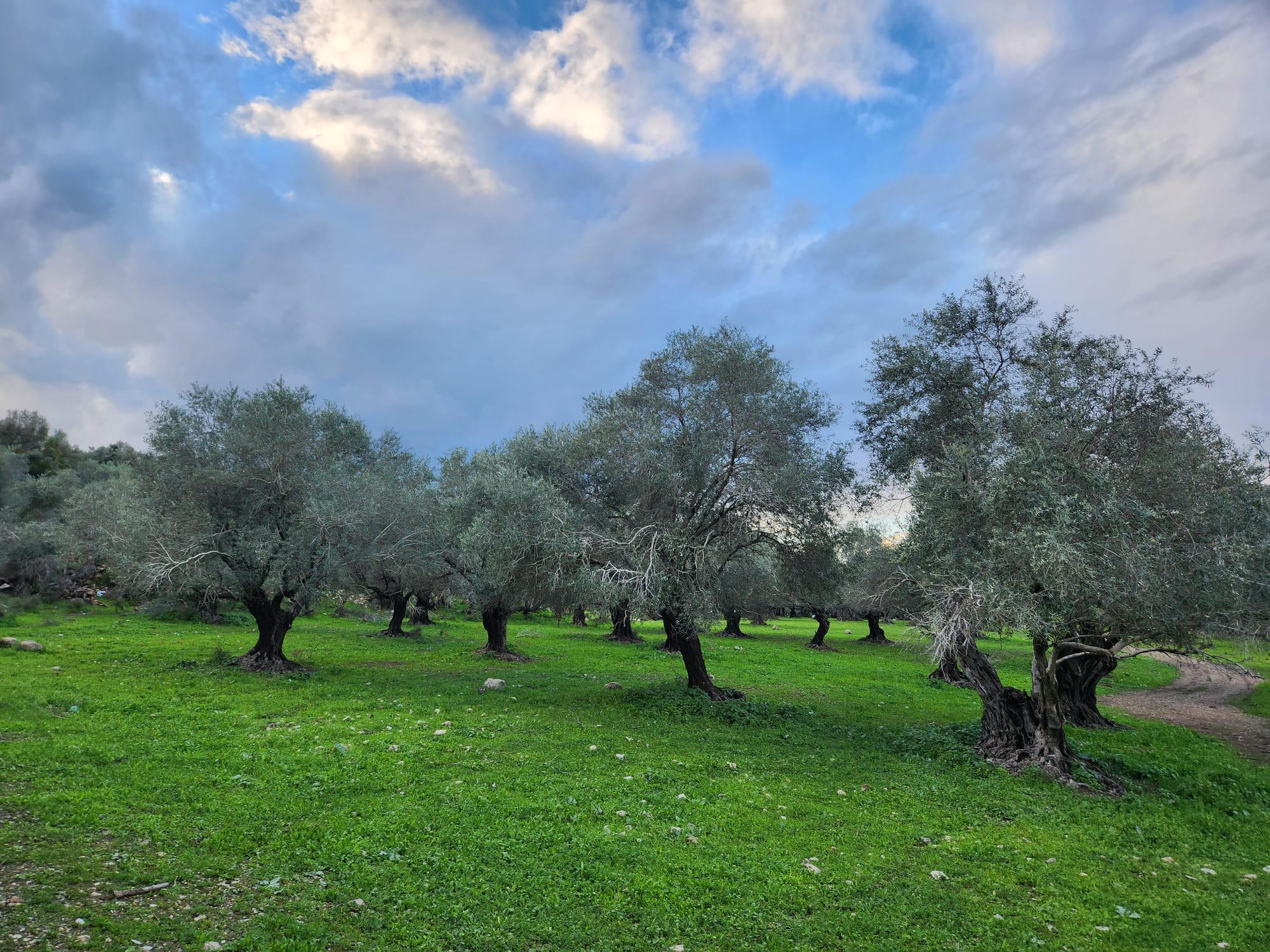 The Israel National Trail – A Journey Across Landscapes, Seasons, and Scale