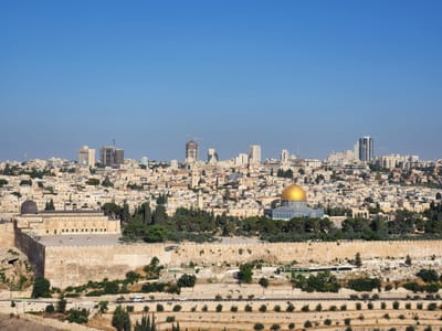 Last minute custom trip