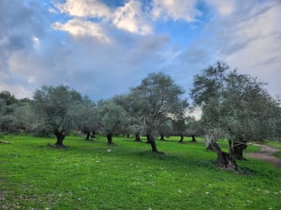 The Israel National Trail – A Journey Across Landscapes, Seasons, and Scale