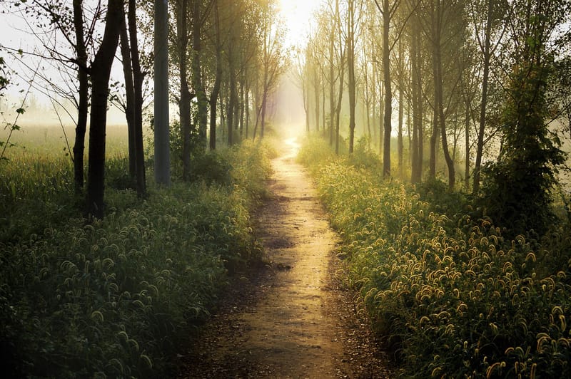 Lifespan Integration