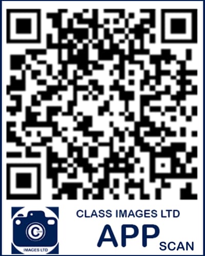 SALES image