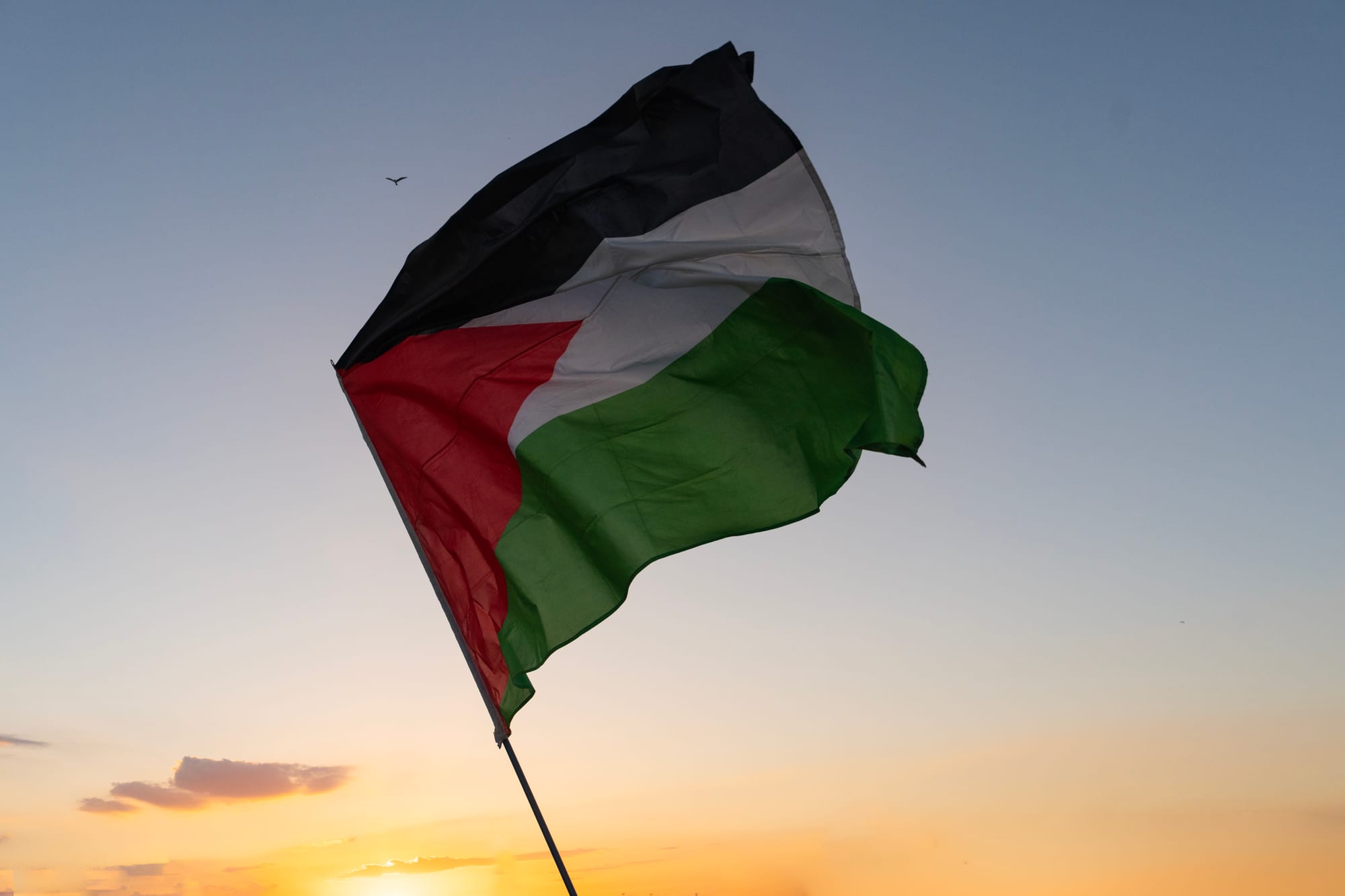 Columbia Anti-Israel Progressive Group Praises D.C. Shooter's Actions.
