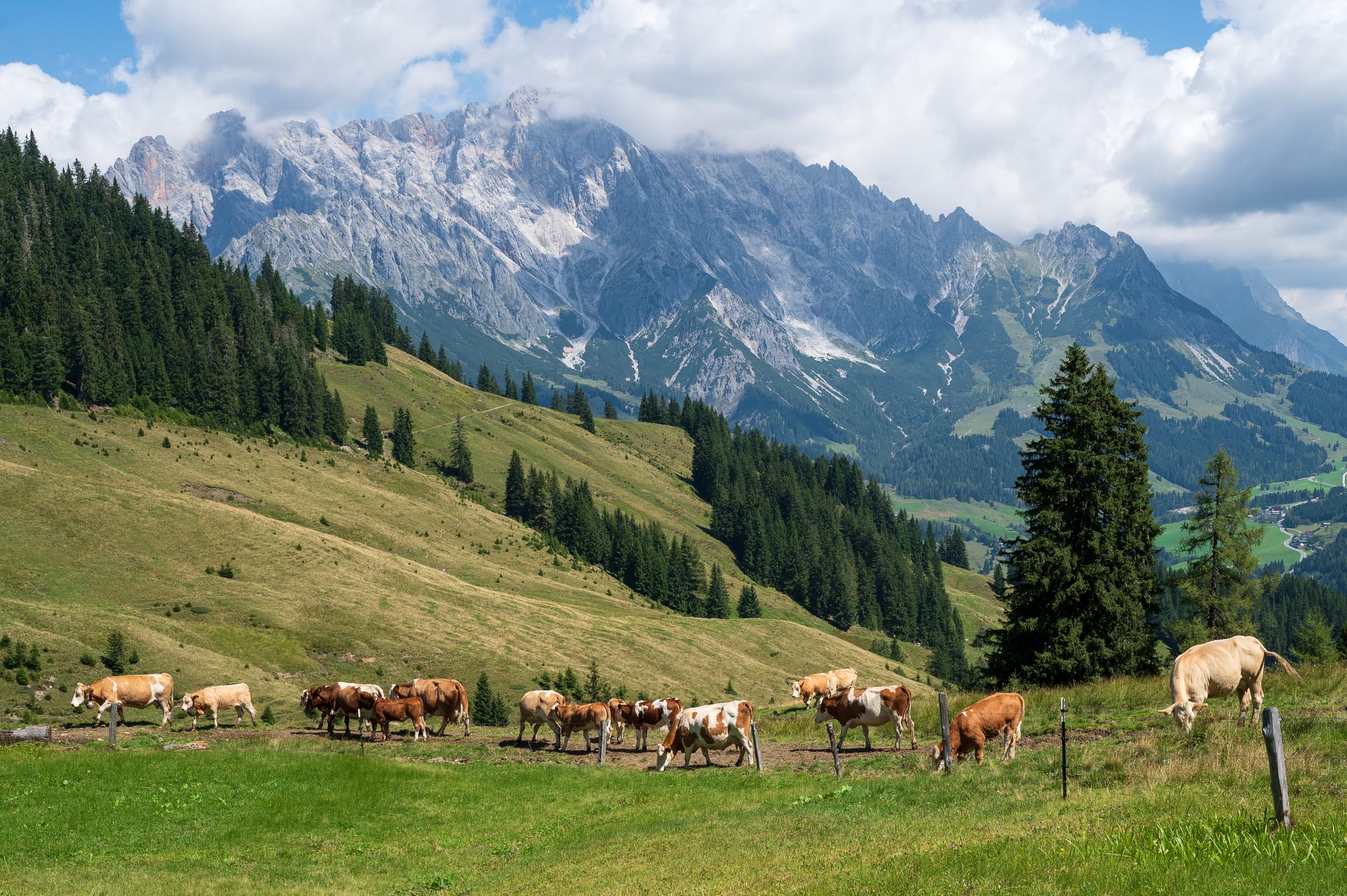 So why is Ohio and the Midwest feeding California?