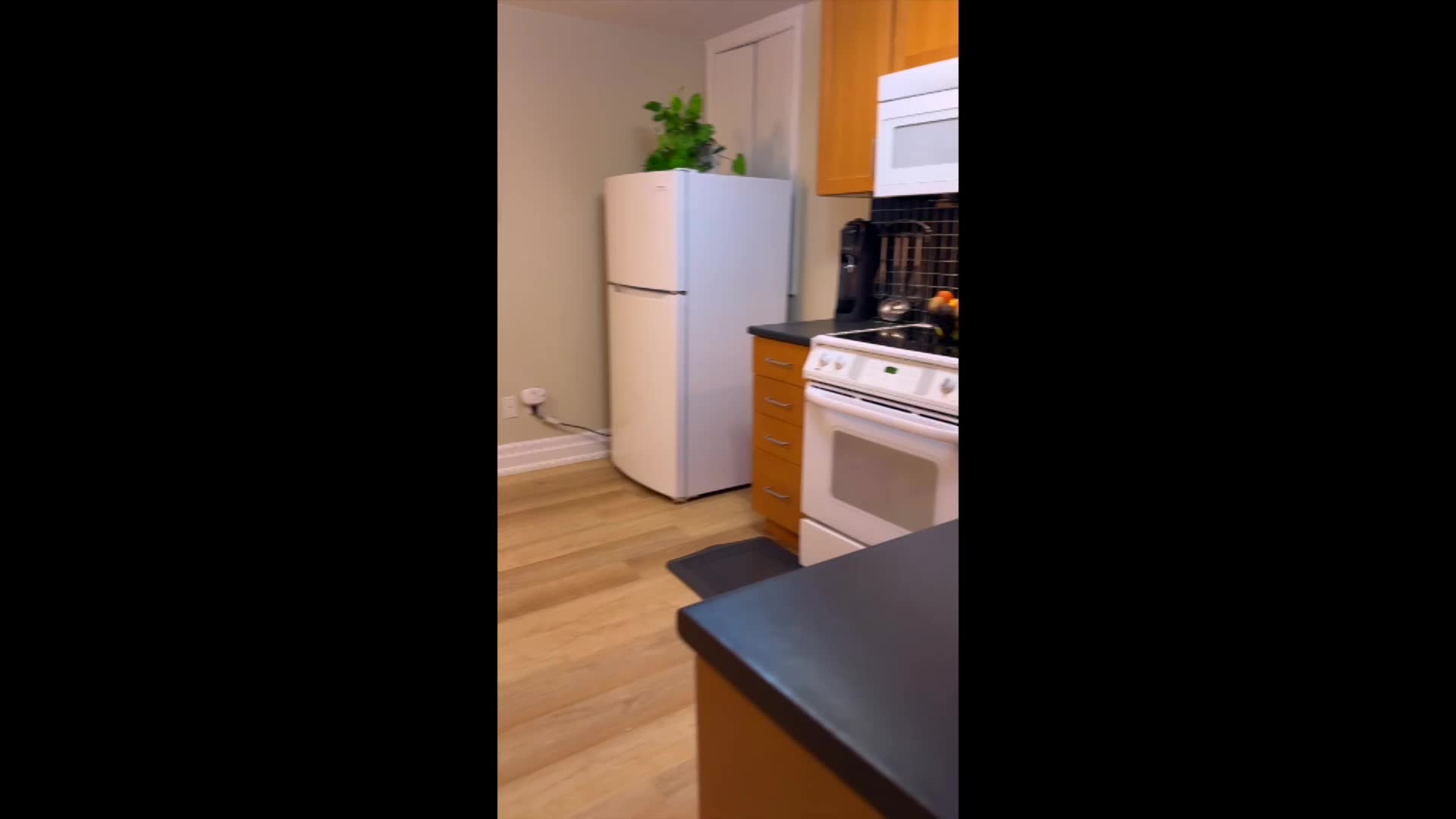 Single Video thumbnail