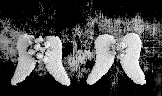 In The End: disponible