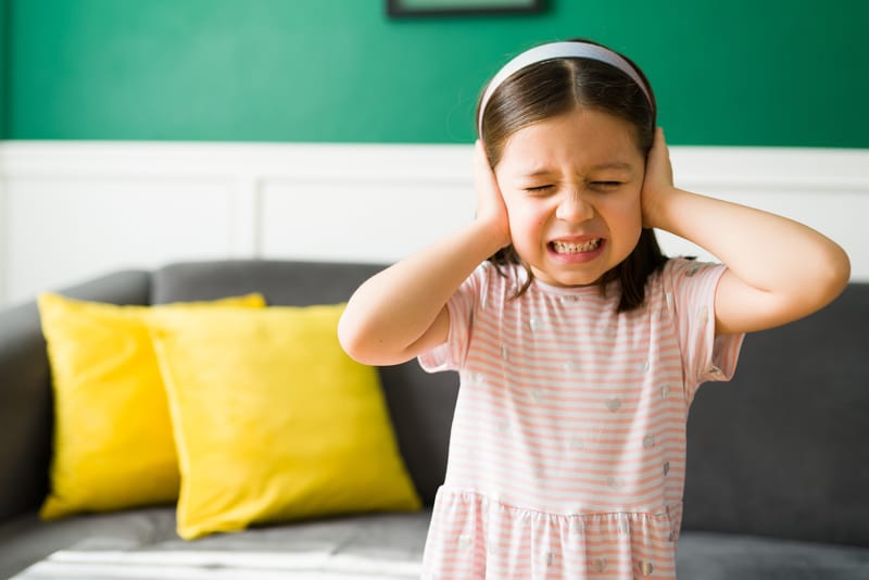Parents/Carers Workshop Sensory Overload - Part 2