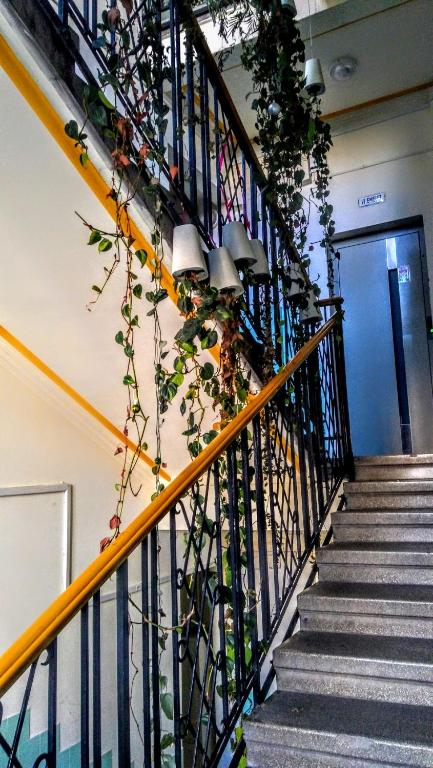 Welcome in Turul Apartment