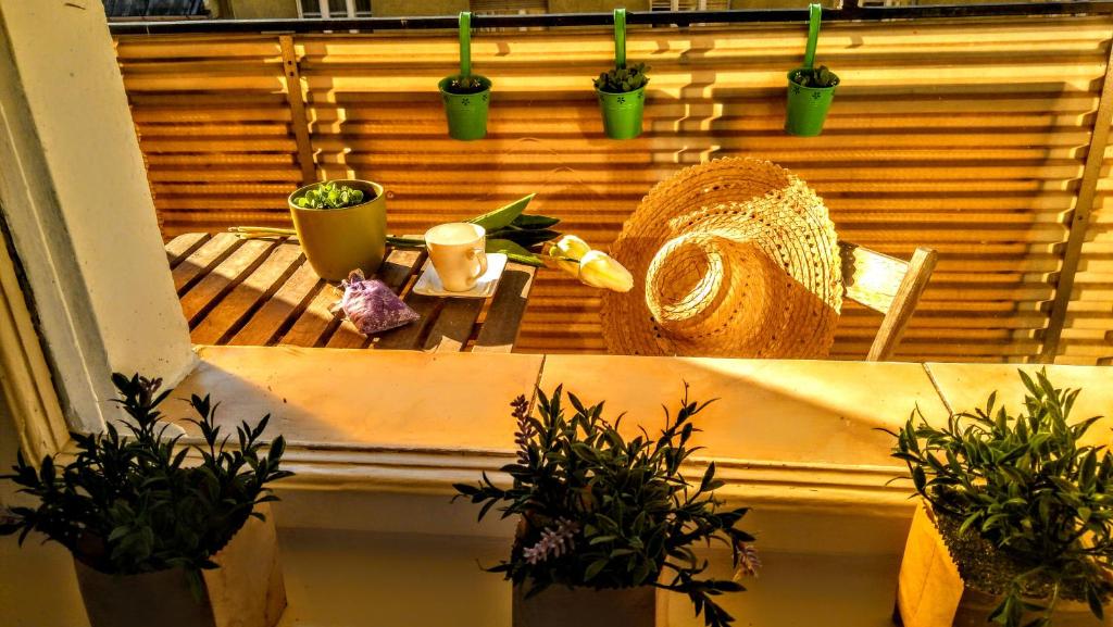 Welcome in Turul Apartment