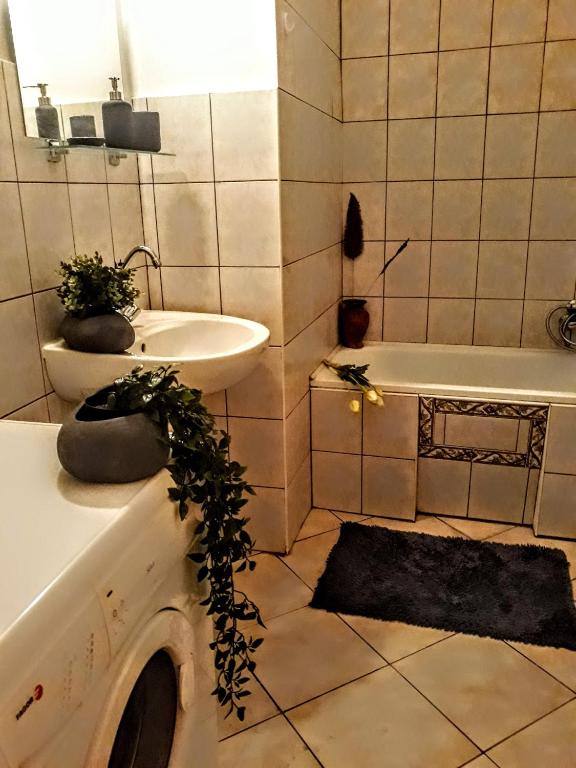 Welcome in Turul Apartment