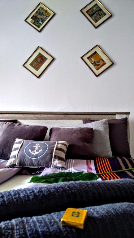 Welcome in Turul Apartment