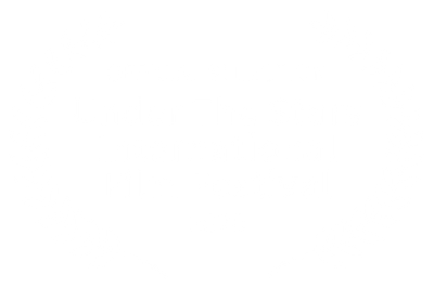 under the stars international film festival 2020