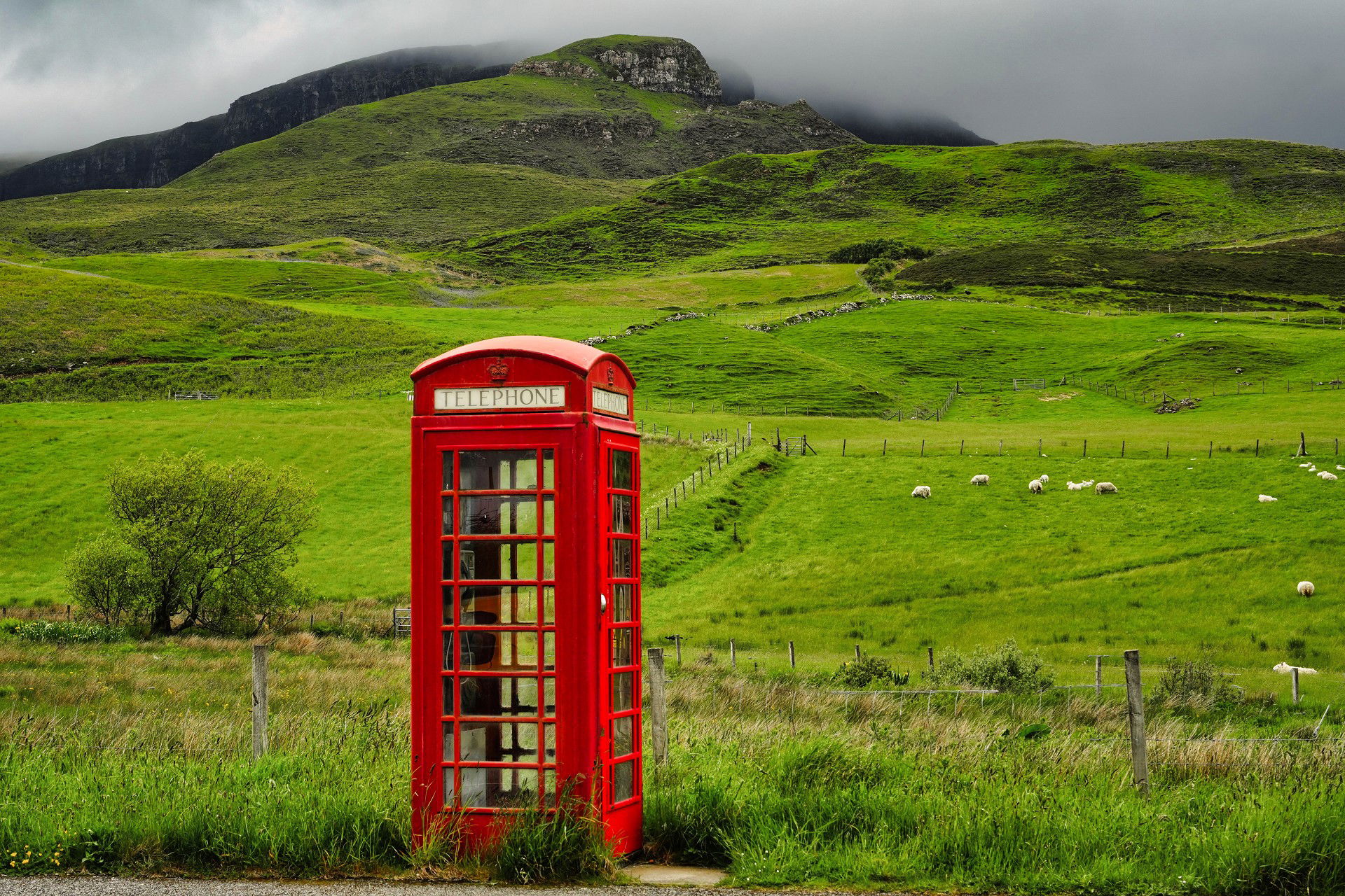 Mes clichés du moment